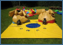 Bouncing Castles with slides Cork